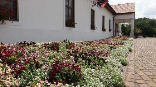 Sarl�spuszta Club Hotel