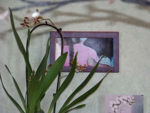 Bed & Breakfast Croix Blanche