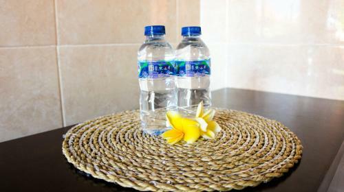 Hostal Luna House Legian