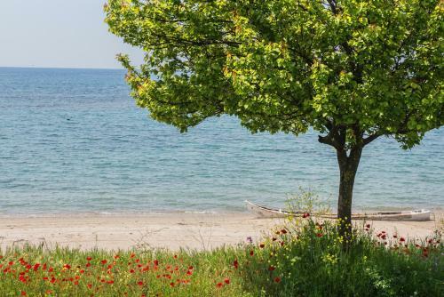 #villa Anemone By Halu! Villas