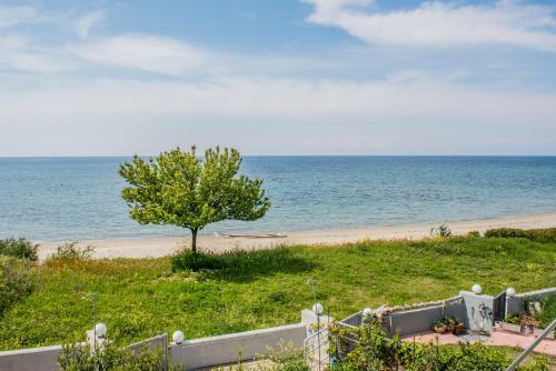 #villa Anemone By Halu! Villas