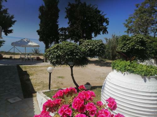 Porto Almira Beachfront Apartments