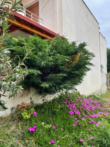 Apartamento La Casa Di Alexandros