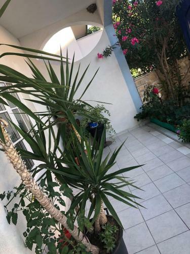 Senita's Rooms & Apartments