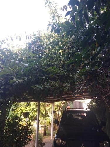 Casa Com Jeito De S�tio Na Cidade