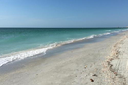 Belleair Beach Club 212
