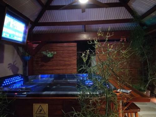 Tampa Bay Beautiful Apartment And Private Jacuzzi