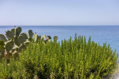 La Terrazza Sul Mare