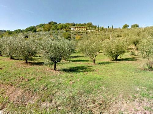 Holiday Home Molinella Bettona