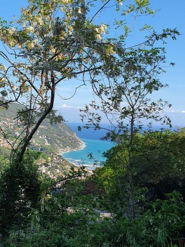Apartamento C� Zelinda House Holiday