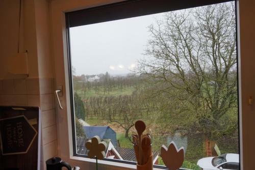Apartamento G�stewohnung Von J&o