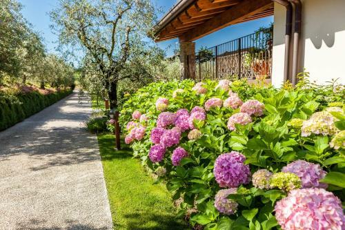 Agroturismo Quercia Belvedere Relais