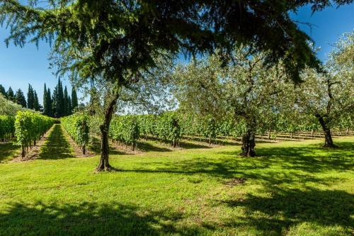 Agroturismo Quercia Belvedere Relais