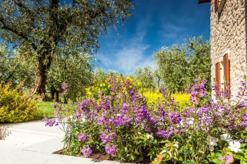 Agroturismo Quercia Belvedere Relais