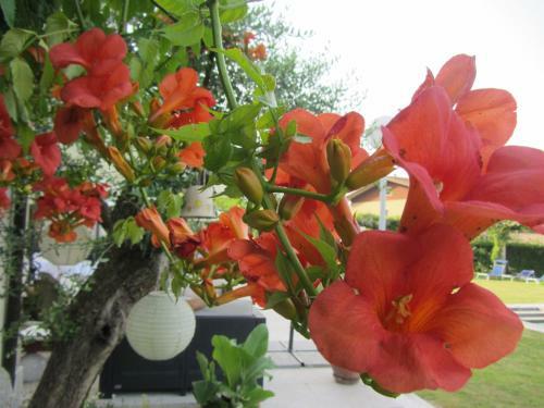 Hotel Villaguarda Landscape Experience
