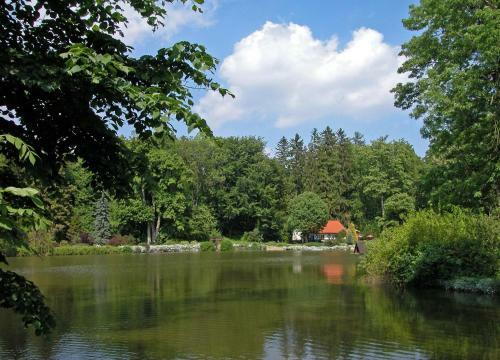 Bed & Breakfast R�zkakas Fogad�