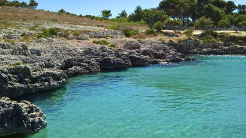Apartamento Alloggi Rurali Per Vacanze