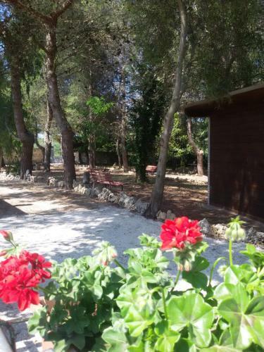 Apartamento Alloggi Rurali Per Vacanze