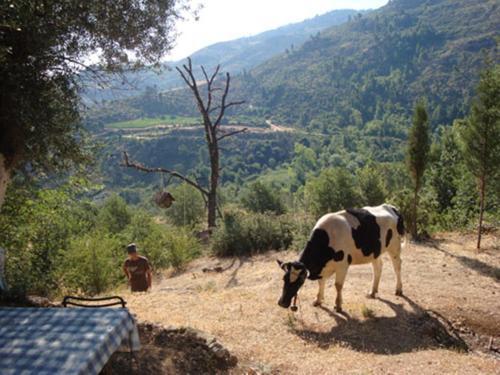 Agroturismo Fokaeon Farm