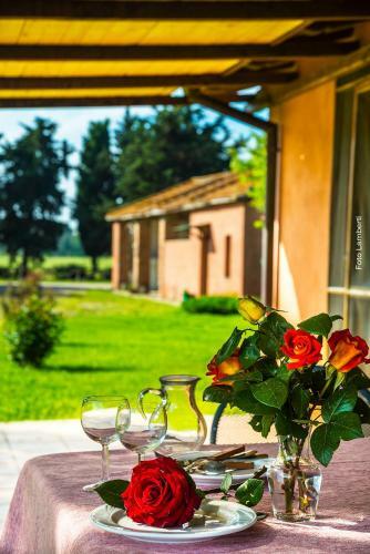 Agroturismo Agriturismo Podere Giulio