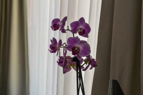 Aparthotel Thermal Park Hotel Egerszal�k