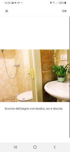 Apartamento Monolocale Al Centro Unico Fresco E Silenzioso