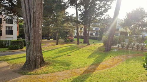 Apartamento Appartement En Duplex Dans R�sidence Avec Piscine
