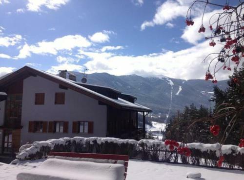 Haus Percha Mountain Apartments
