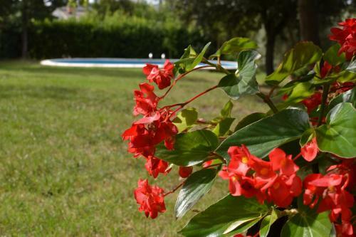 Bed & Breakfast La Poiana