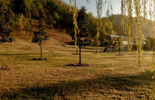 Bed & Breakfast Parco Reala // Rural - Luxury - Rooms