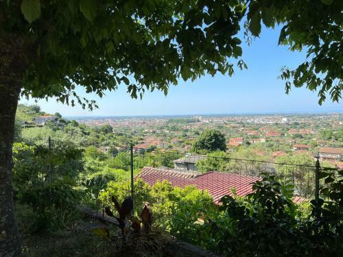 Apartamento Appartamento Sergio, Colline Della Versilia