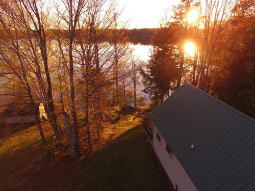 Coleman's Cabin