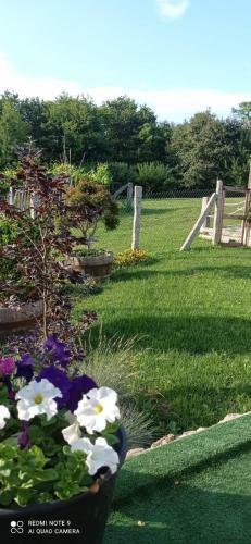 Apartamento Almademenc�a
