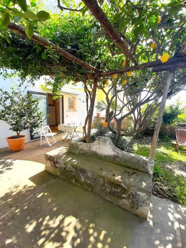 Apartamento O' Suppigno - Historic House