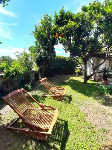Apartamento O' Suppigno - Historic House