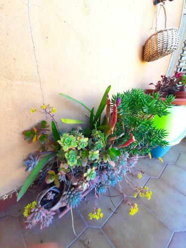 Apartamento Casa Anna - Chiaiolella Beach
