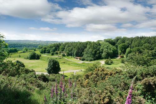 Yorkshire Dales Lodge 5 Family 3 Bed