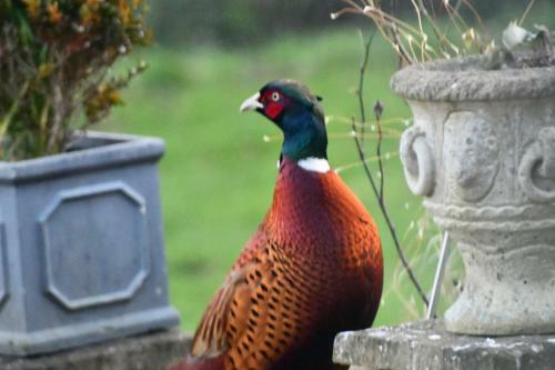 Bed & Breakfast Beck House Farm