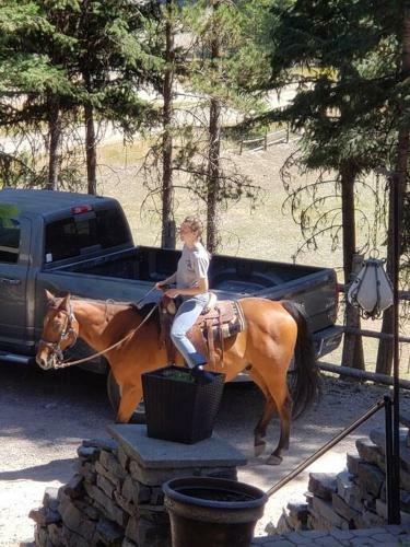 (quarter Horse Hideout ) One Of Two Units