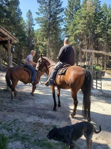(quarter Horse Hideout ) One Of Two Units