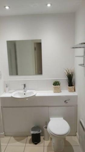 Piquancy Apartments - Sheffield City Centre