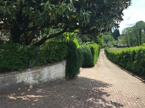 Relaxing Villa Close To Rome With Private Swimming Pool