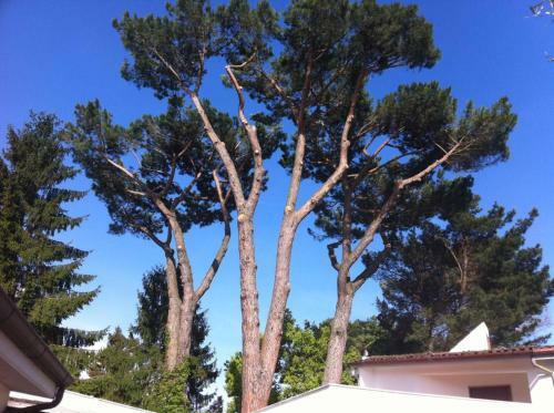 Relaxing Villa Close To Rome With Private Swimming Pool