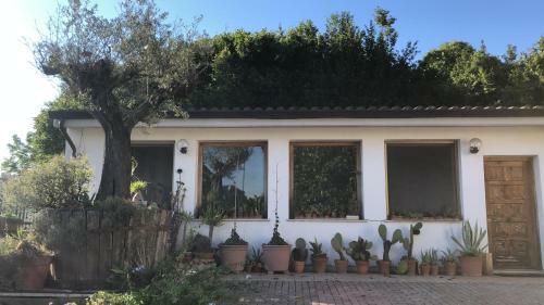 Relaxing Villa Close To Rome With Private Swimming Pool