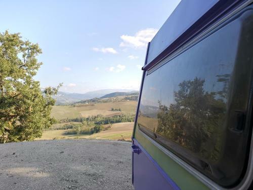 "carul�t Lilla" Nel Bosco