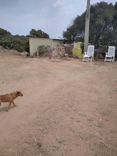 Apartamento B&B Li Salcuneddi