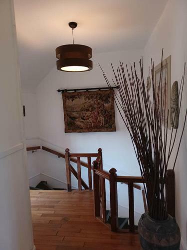 Gite De La Vall�e Du Serein
