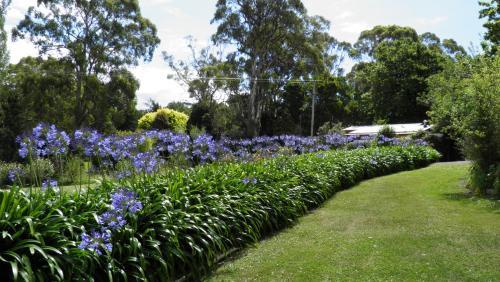 Bed & Breakfast Tamar River Retreat
