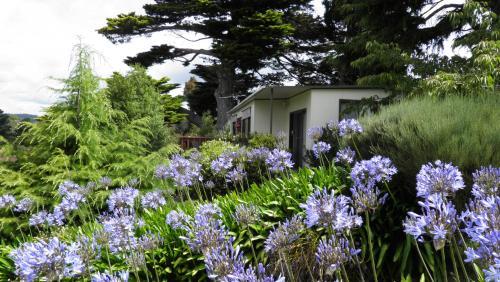 Bed & Breakfast Tamar River Retreat