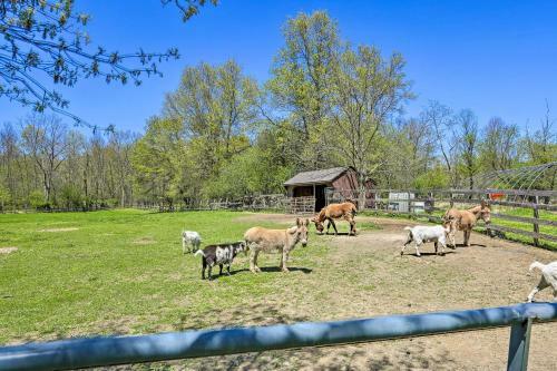 Goshen Cottage With Deck On Working Family Farm